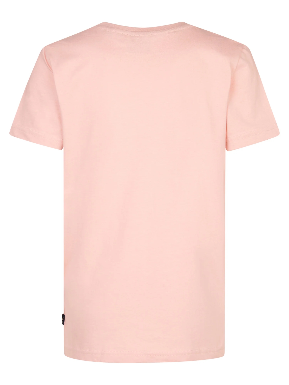 Petrol - ΜΠΛΟΥΖΑ Τ-SHIRT KM - 3171-Dusty Peac φωτογραφία