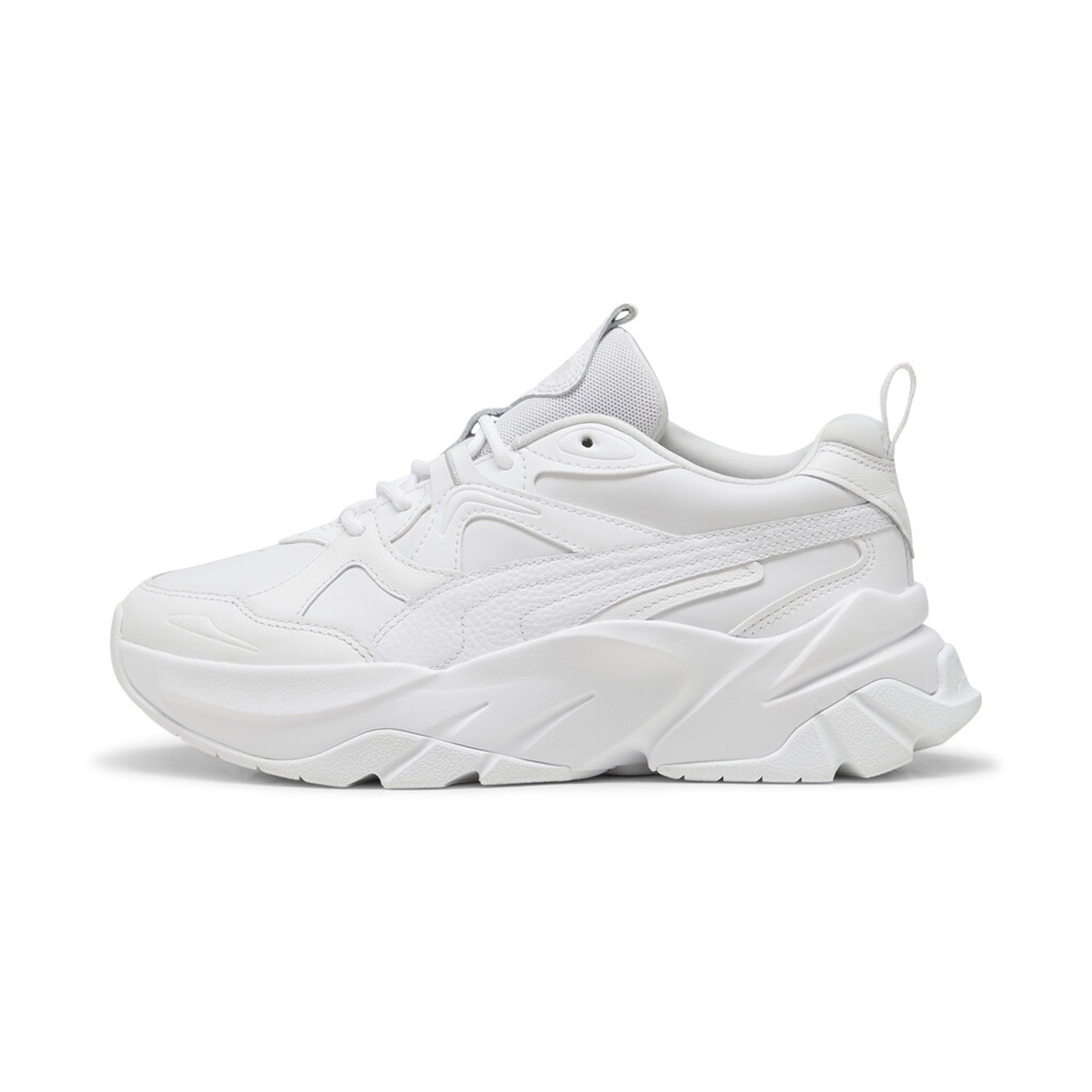 Puma - Sophyr Lth Wns - 01/0091 φωτογραφία