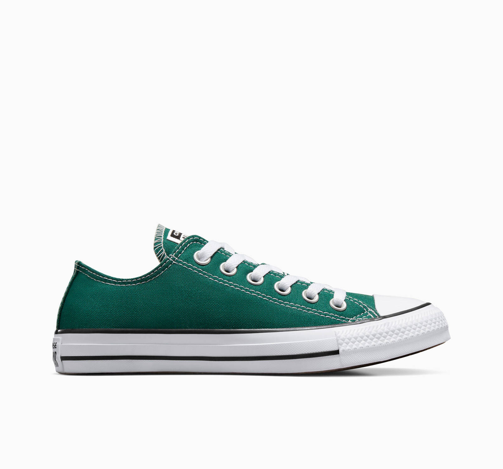 Converse – CHUCK TAYLOR ALL STAR FALL TONE – 303-DRAGON SCALE